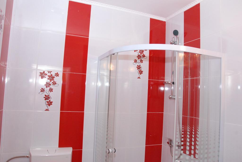 فندق Vila Nicoleta سيبيو المظهر الخارجي الصورة